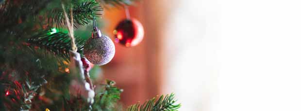 This image has an empty alt attribute; its file name is christmas-tree.jpg